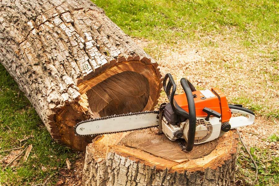 removed-tree-stump-charleston-wv